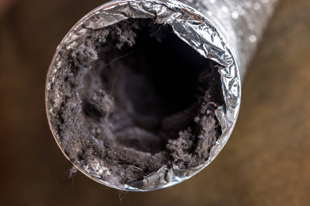 Best Air Duct Cleaning Near Me  in Cinco Ranch, TX